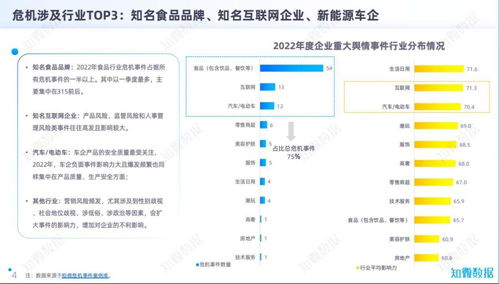 品牌大咖說 互聯網銷售時代，仲景食品與新能源車為何成為企業輿情危機高發區
